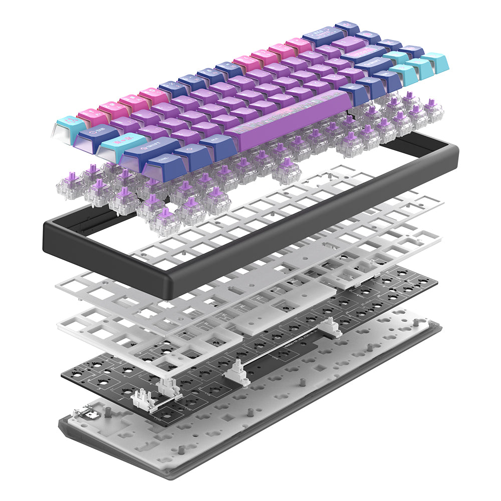 Arbiter Studio Polar 65 Keyboard Neo Tokyo / Black frame