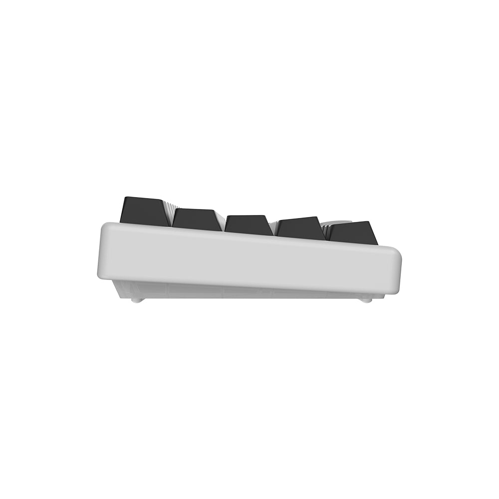 Arbiter Studio TENKO Polar 65 + HE Magnetic Gaming Keyboard White Panda