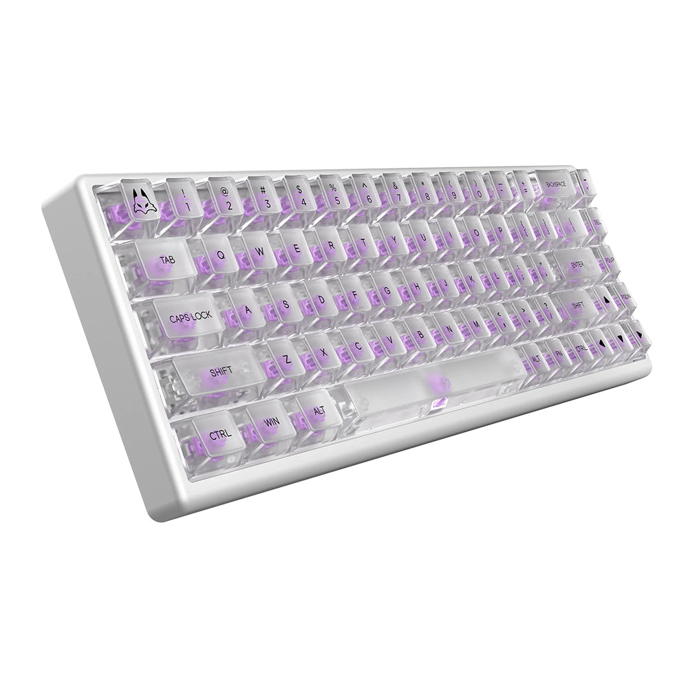 Arbiter Studio Polar 65 Keyboard Phantom Series Phantom White