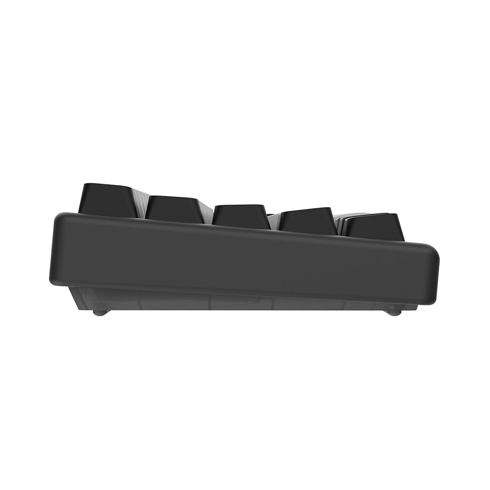 Arbiter Studio Polar 65 Keyboard Black Panda / Black frame