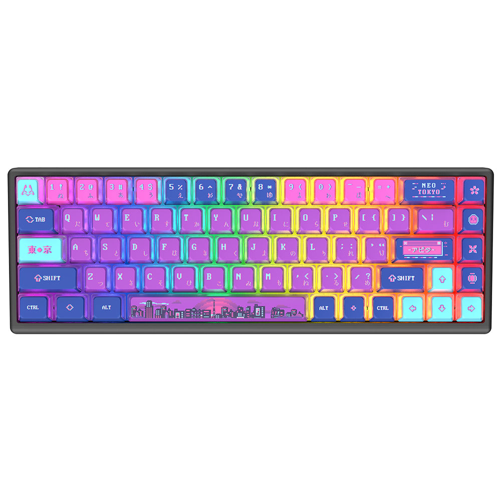 Arbiter Studio Polar 65 Keyboard Neo Tokyo / Black frame