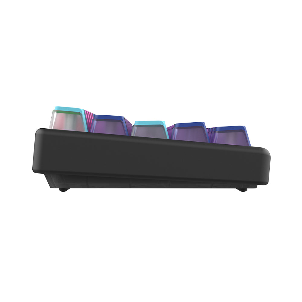 Arbiter Studio Polar 65 Keyboard Neo Tokyo / Black frame