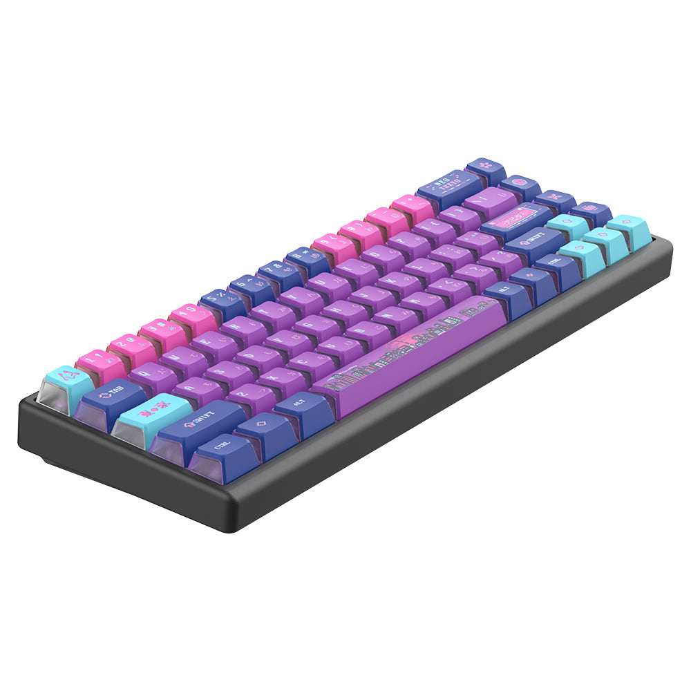 Arbiter Studio Polar 65 Keyboard Neo Tokyo / Black frame