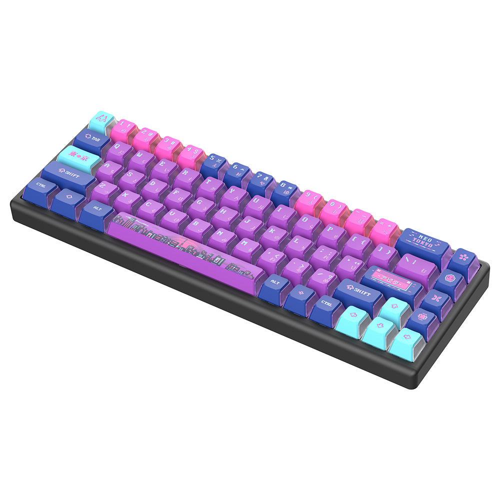 Arbiter Studio Polar 65 Keyboard Neo Tokyo / Black frame