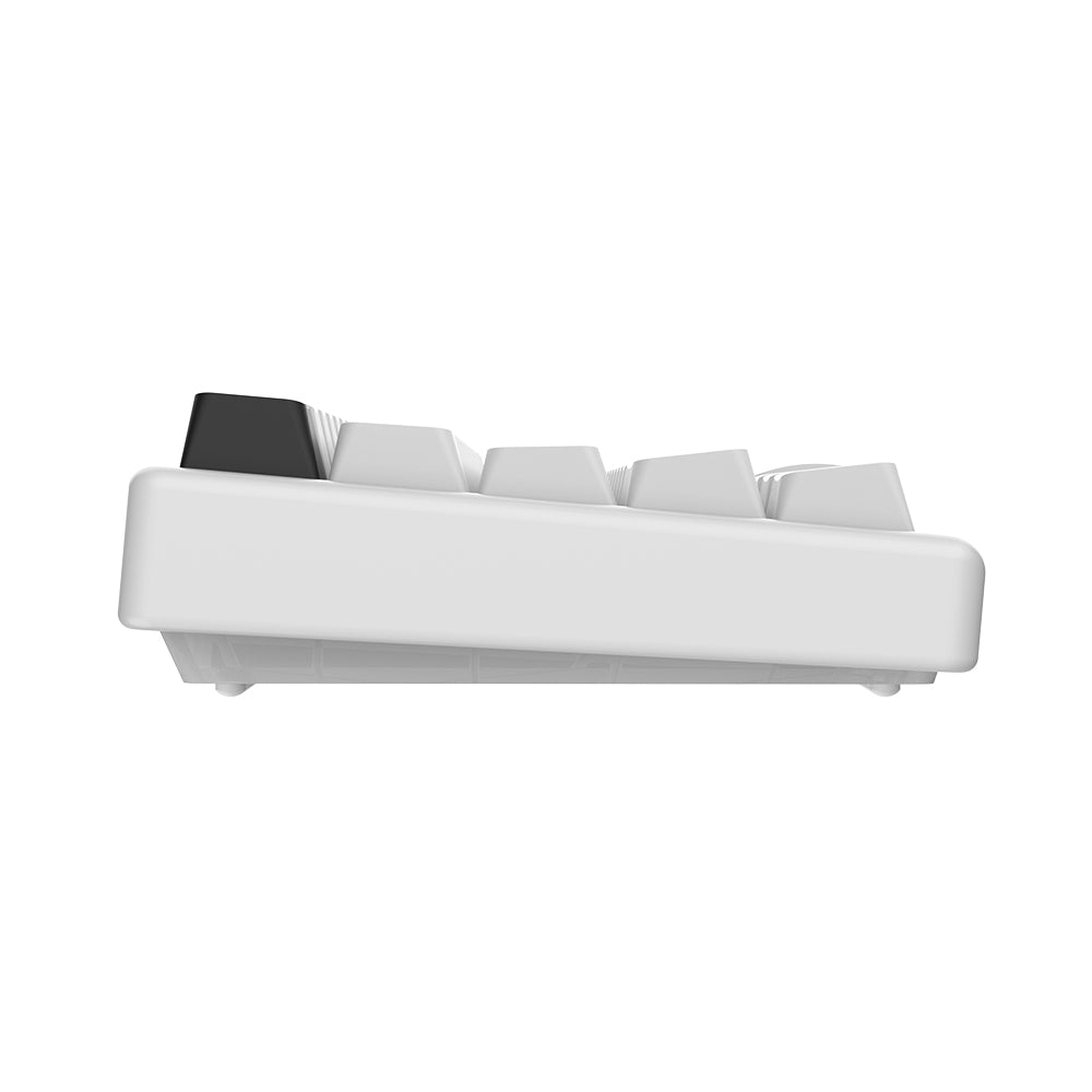 Arbiter Studio Polar 65 Pro Keyboard Kitsune White Frame