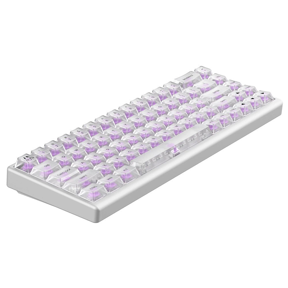 Arbiter Studio Polar 65 Keyboard Phantom Series Phantom White