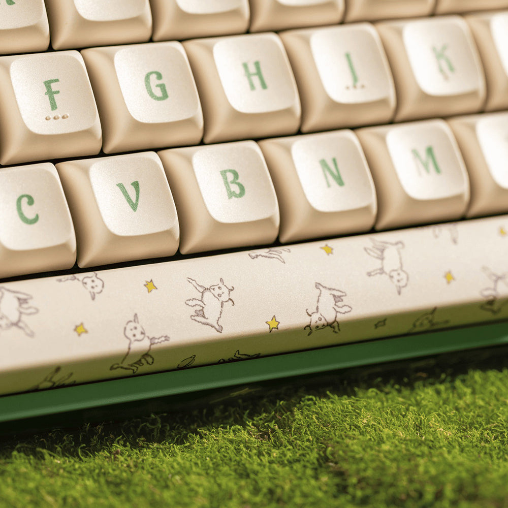 iQunix x Little Prince F97 Wireless Mechanical Keyboard Floral Date