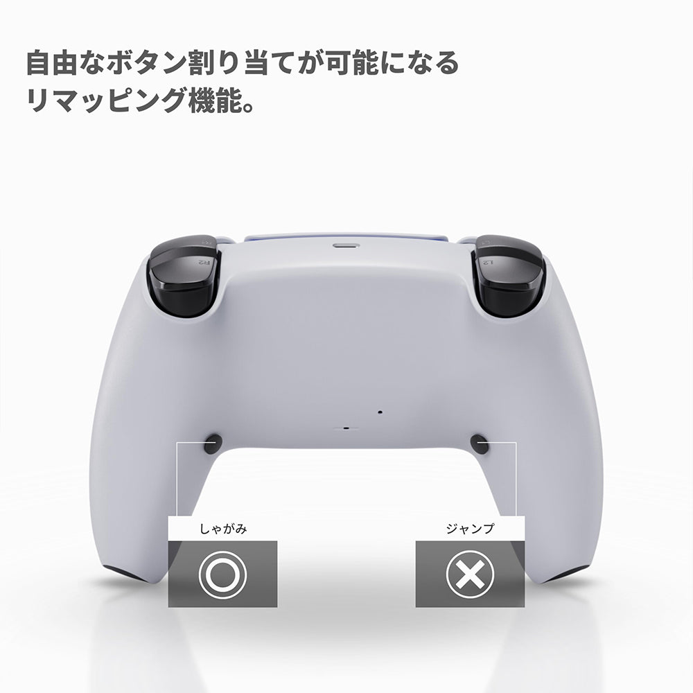 Void Gaming FPS推奨カスタムコントローラー Voidボタンタイプ For PS5 | PC  ホワイト