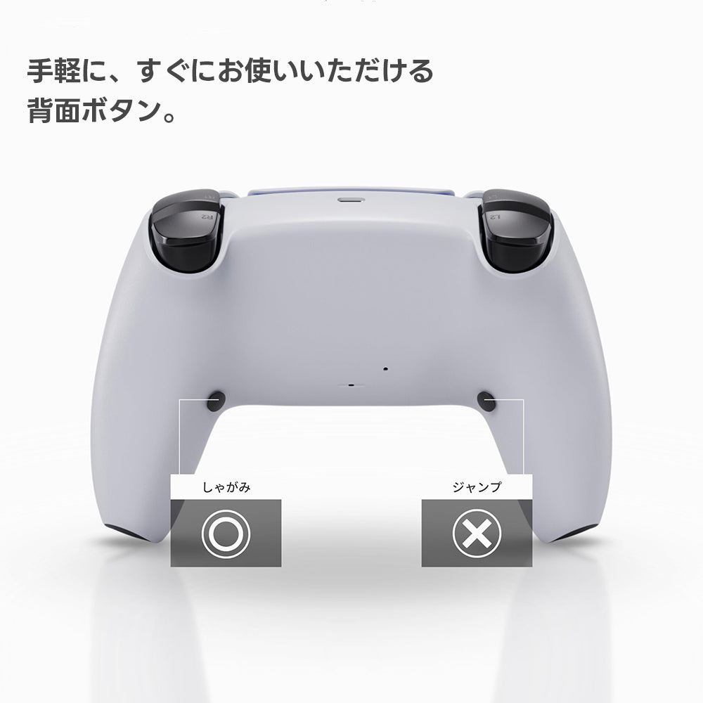 Void Gaming スターターカスタムコントローラー Voidボタンタイプ For PS5 | PC  ミッドナイトブラック